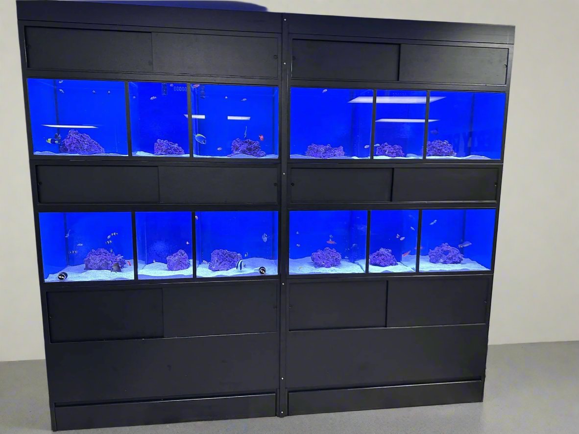 Marine Fish Care Commercial Racks