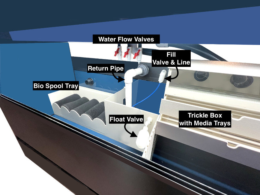 Marine Frag or Coral Care Commercial Wall Rack Display