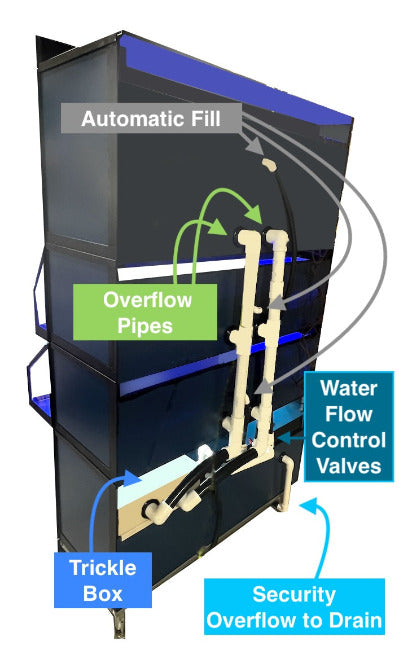 Marine Frag or Coral Care Commercial Wall Rack Display