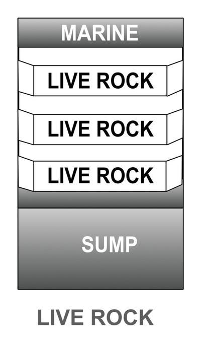 Marine Fish Aquarium Racks