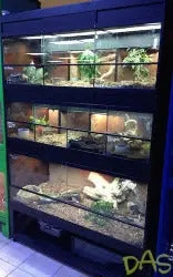 Commercial reptile enclosures hotsell