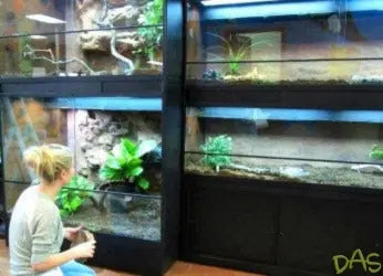 Commercial reptile enclosures hotsell