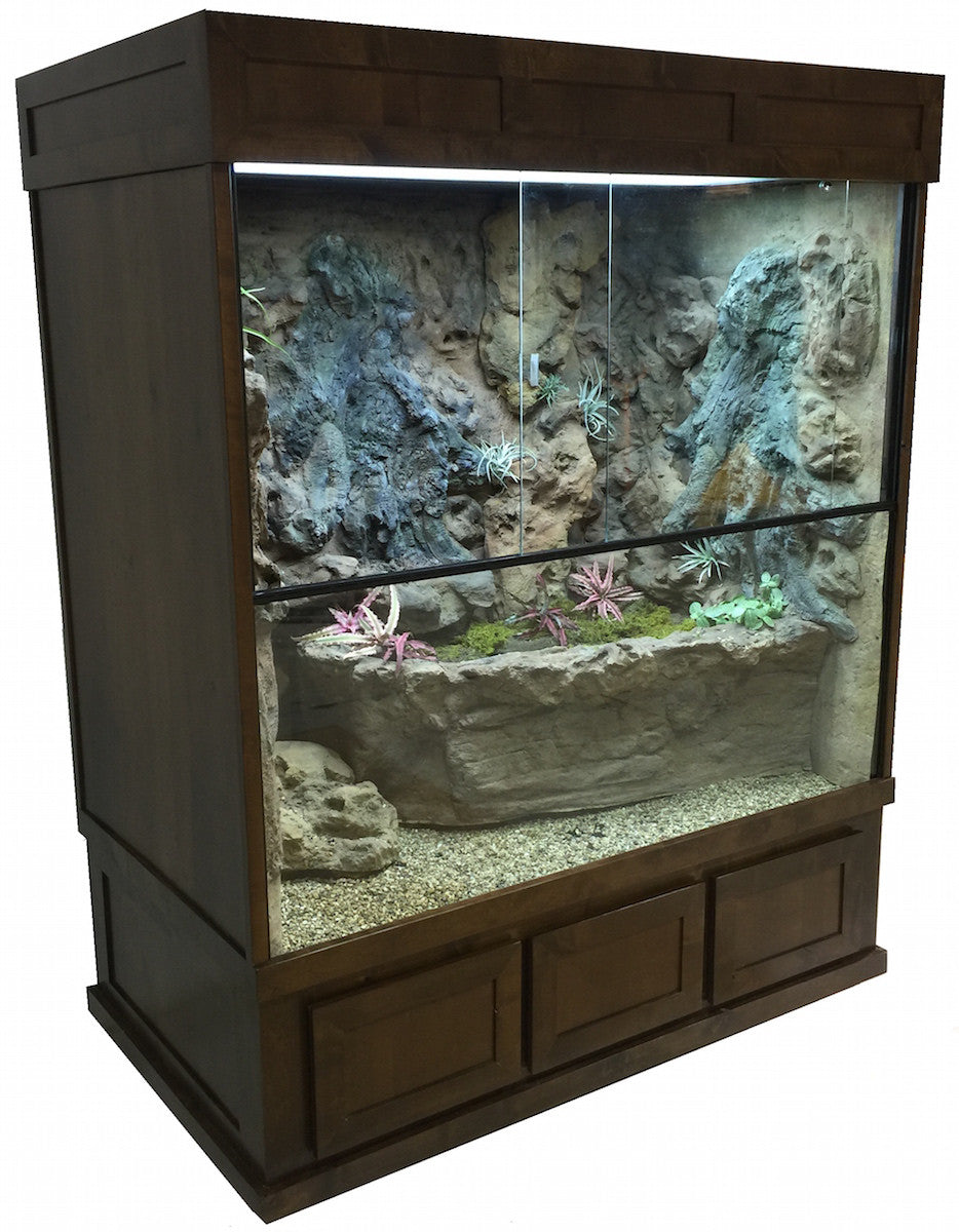 Mangrove Monitor Terrarium Custom Design