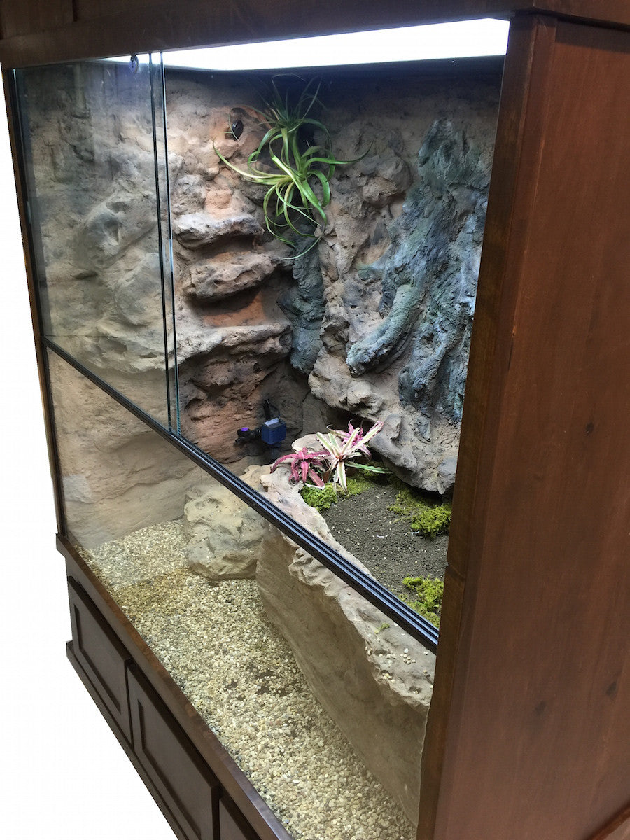 Mangrove Monitor Terrarium Custom Design