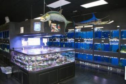 Marine 3D Aquarium in a Pet Store