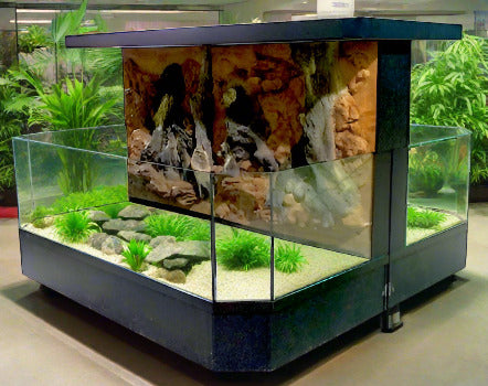 Feeding Frenzy 3D Aquarium Display