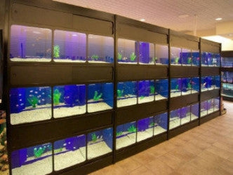 Fish Store in Hutchinson, KS, Aquarium & Fish Tank Supplies
