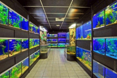 Freshwater Fish Enclosures Commercial Retail Rack Display