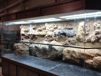 Custom Design Terrarium Turtle Tank for Nature Center