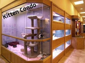 Puppy or Kitten Adoption Kennel Displays