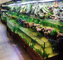 Custom Design River Bank Tank Amazing Aquarium Display