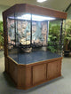 Custom Designed Aquatic Turtle Tank Nature Center